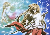 BUY NEW seto no hanayome - 117863 Premium Anime Print Poster